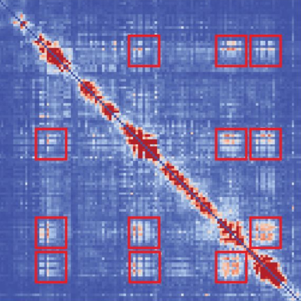 Genomic & Protein Language Modelling